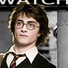 Harry Hottie