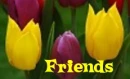 friends