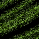 green spray