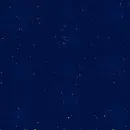 stary