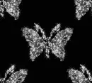 silver butterflys