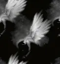 fallen angel