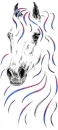 white horse