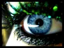 eye