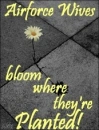 Bloom where you're planted!