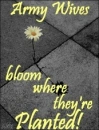 Bloom where planted