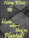 Bloom where you're planted!