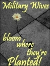 Bloom where you're planted!