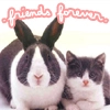 friends forever