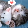 sleepytime