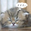catching some zzz