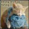 evil cat