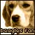 Beagle budddy!
