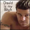 David Boreanaz