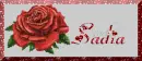 Sadia name plaque 