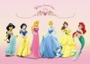 DISNEY PRINCESS