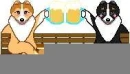 DOGS DRINKING