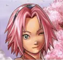 sakura