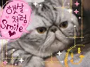 Kitty