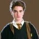 Cedric Diggory T_T