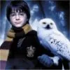 Harry & Hedwig