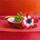 red flower