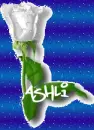 Ashli