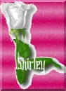 Shirley