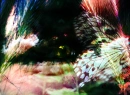 Eye of Nature