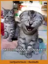 muhahaha
