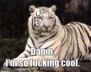 damn, heÂ´s so fuking cool xD