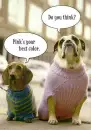 your best color