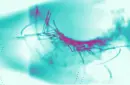 background ice abstract