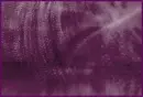 Purple Willow Leaves Mist Effect Background