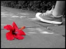 Roses and shoes