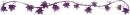 purple ivy