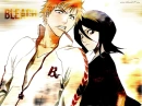BLEACH