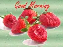 good morning