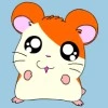 hamtaro