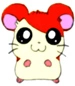 hamtaro