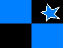 Blue & Black Checkers