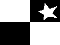 White & Black Checkers