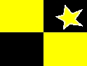 Yellow & Black Checkers