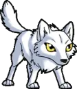 kiba