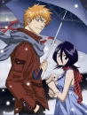 Bleach