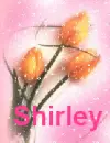 Shirley