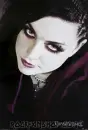 amy lee