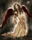 angelANGEL