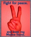 Fight for peace.