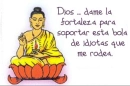 Dios dame fortaleza